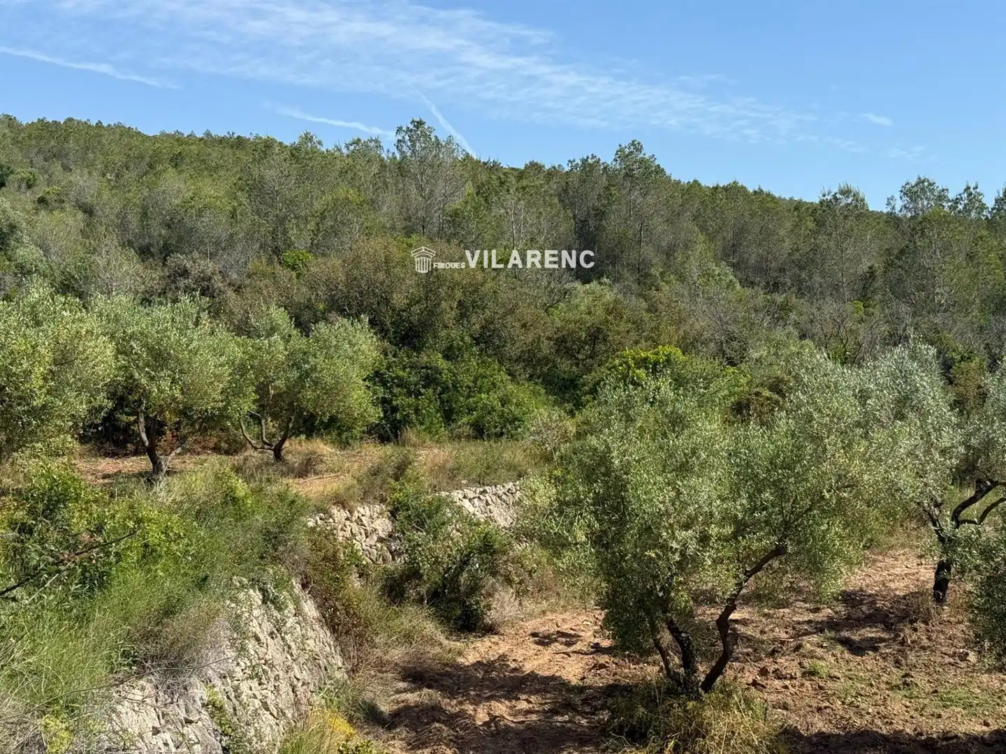Rural land for sale in Massos de Vespella, imagen 24