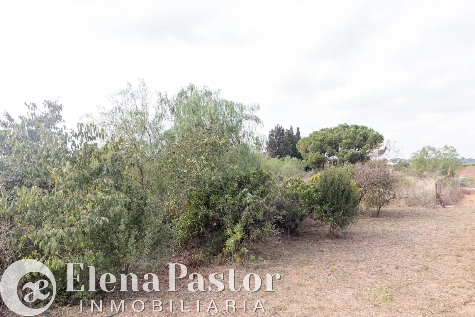 Casa o xalet en venda a Centro