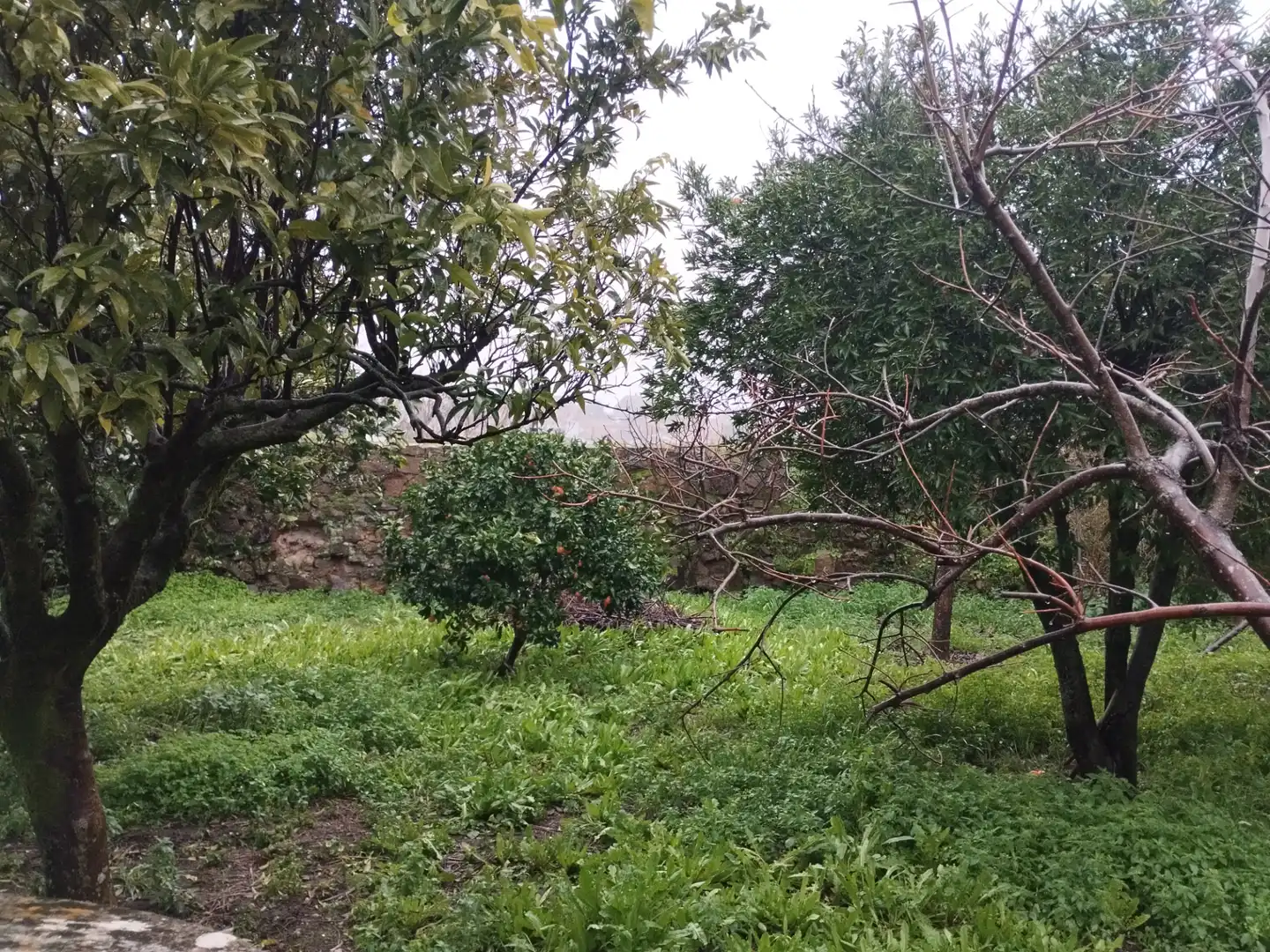 Planta baja en venta en Jerez de los Caballeros con Jardín privado y Trastero