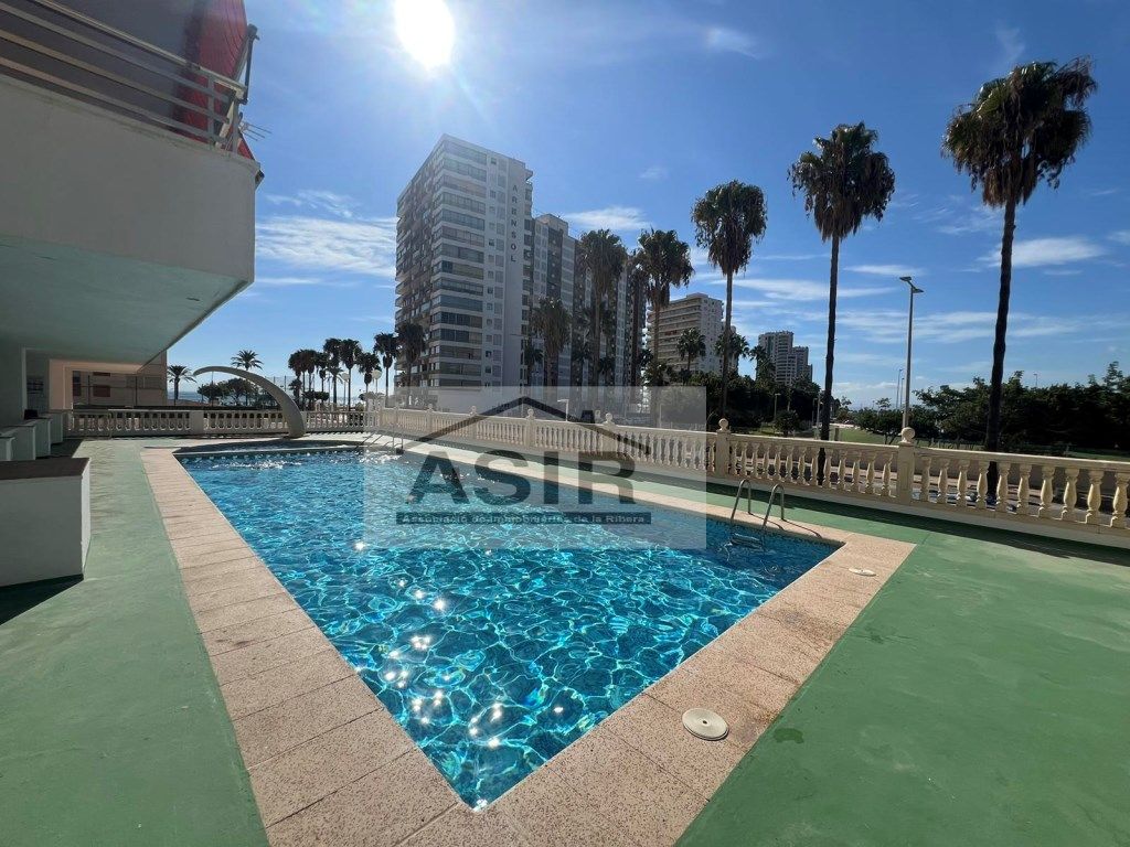 Swimming pool of Apartment to rent in Cullera
