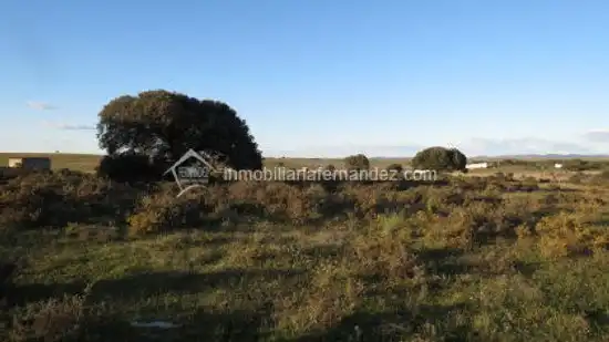 Casa en venda a Valdesalor - Rincón de Ballesteros, imagen 6