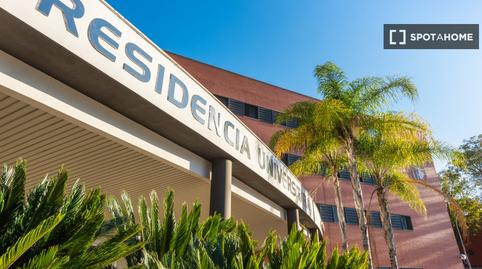 Photo 5 of House or chalet to share in Pedro Salvador - Las Palmeritas, Sevilla