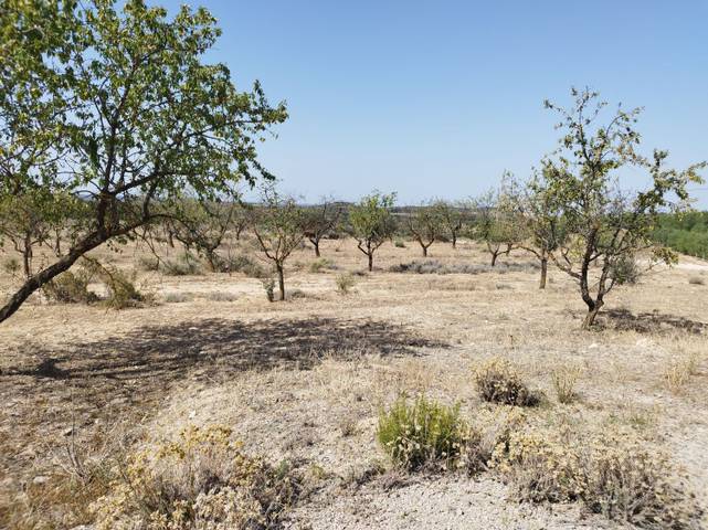 Finca rústica en Venta en gramenals en Castelldans