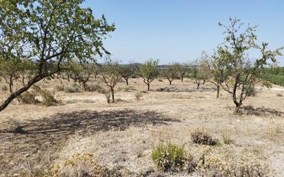 Finca rústica en venda en Castelldans