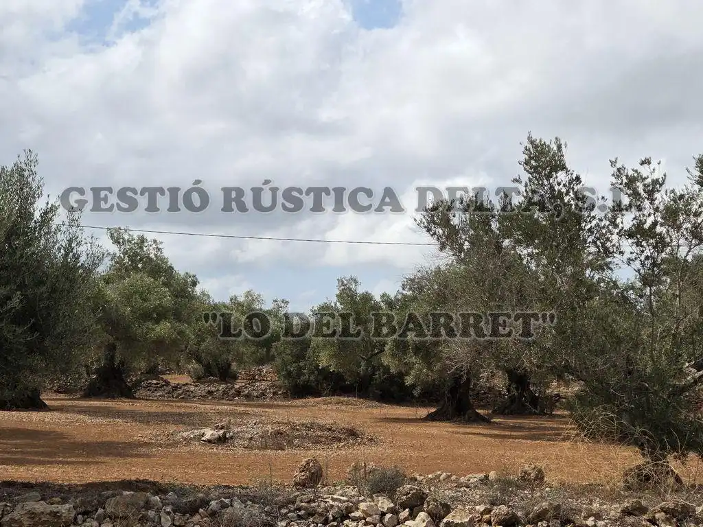Terreno rústico en venta en Poligono 8, imagen 8