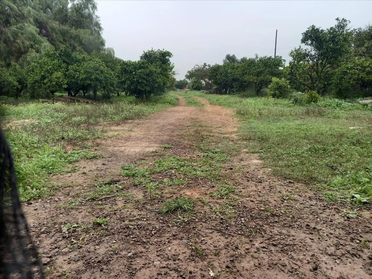 Residential land for sale in Lope De Vega Entrecaminos, imagen 2