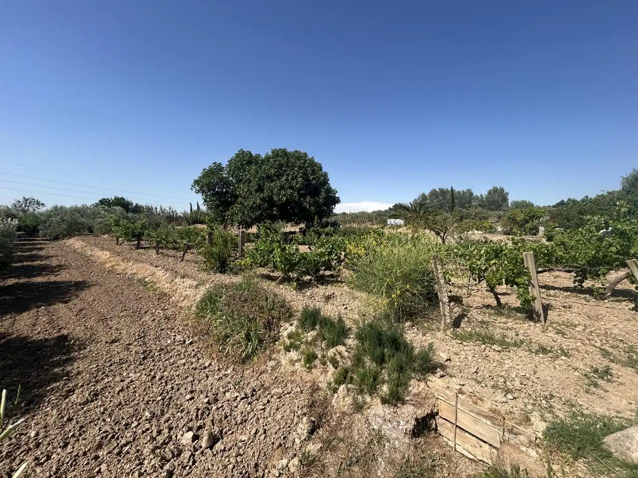 Country homes for sale in Corella  with Private garden, Terrace and Storage room