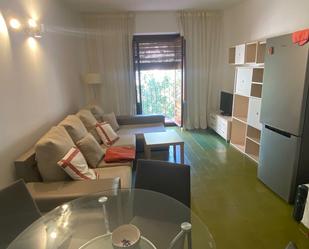 Living room of Flat to rent in  Granada Capital  with Furnished, Washing machine and Microwave