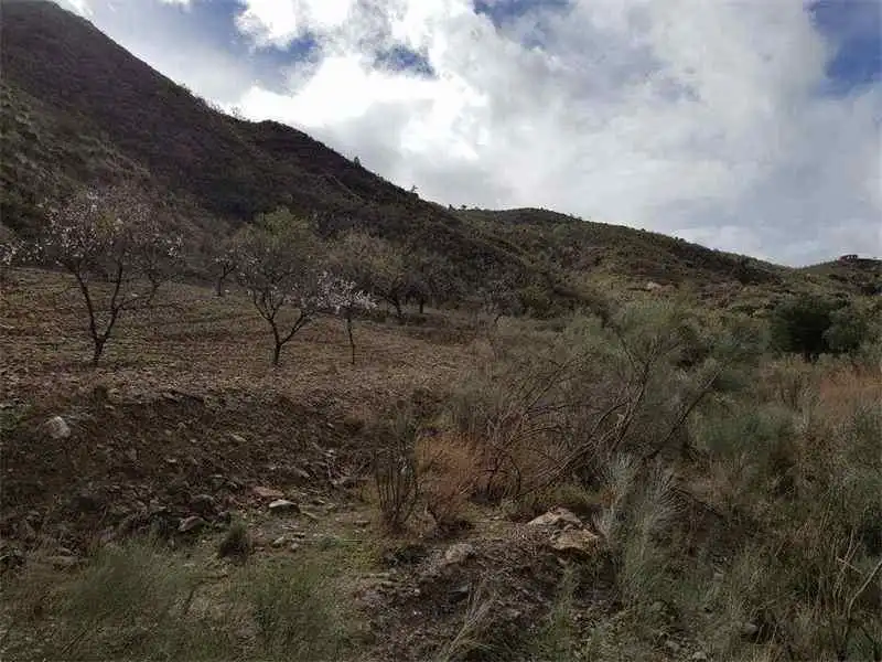 Grundstücke zum Verkauf in Albánchez