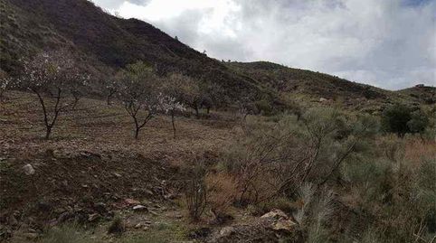 Foto 3 von Grundstücke zum Verkauf in Albánchez, Almería