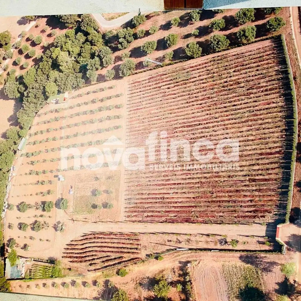Casa rustica con giardino in vendita a Mont-ras, imagen 11