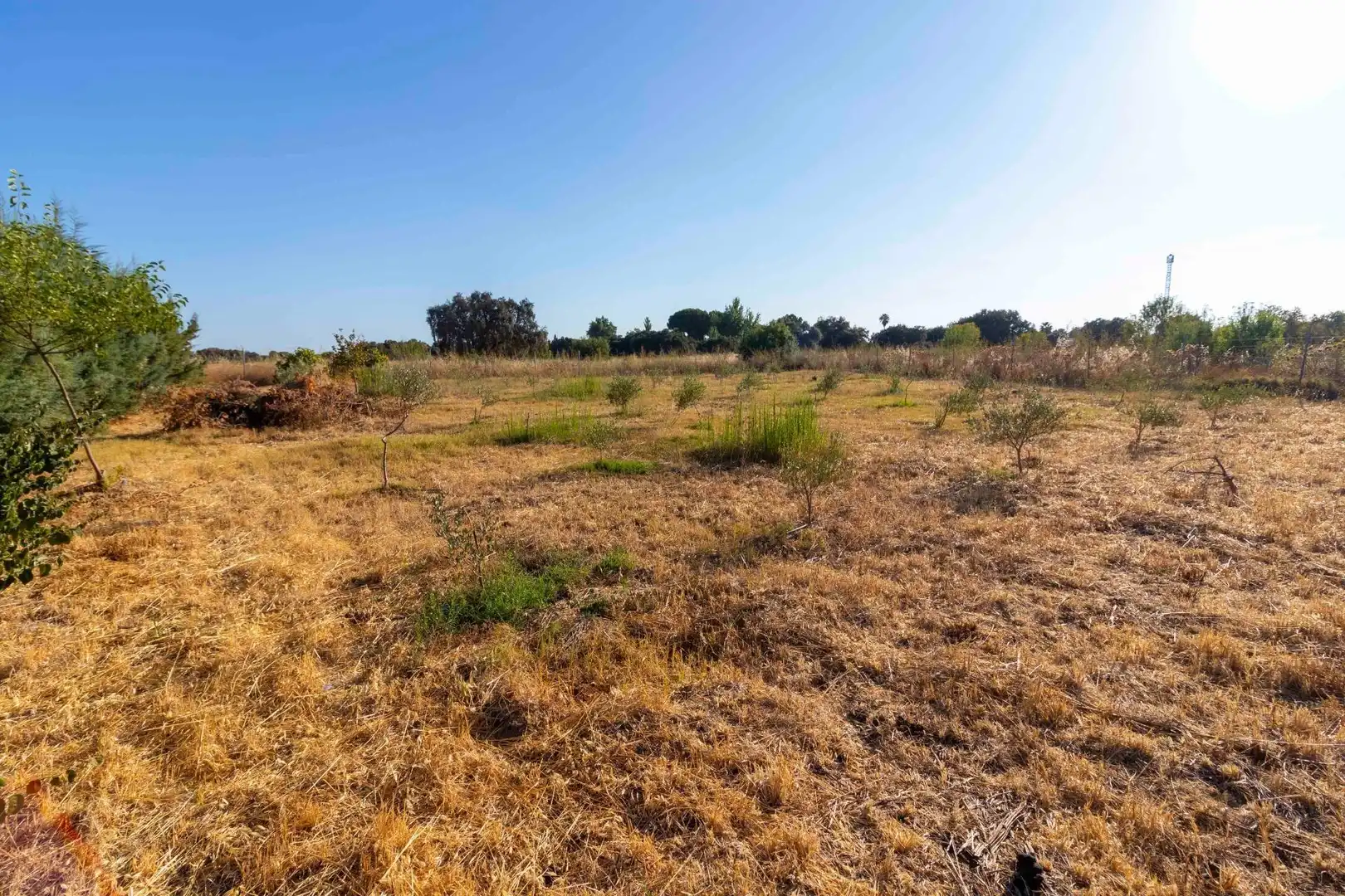 Casa rústica con piscina en venta en Dehesilla de Calamón - Campomanes, imagen 58