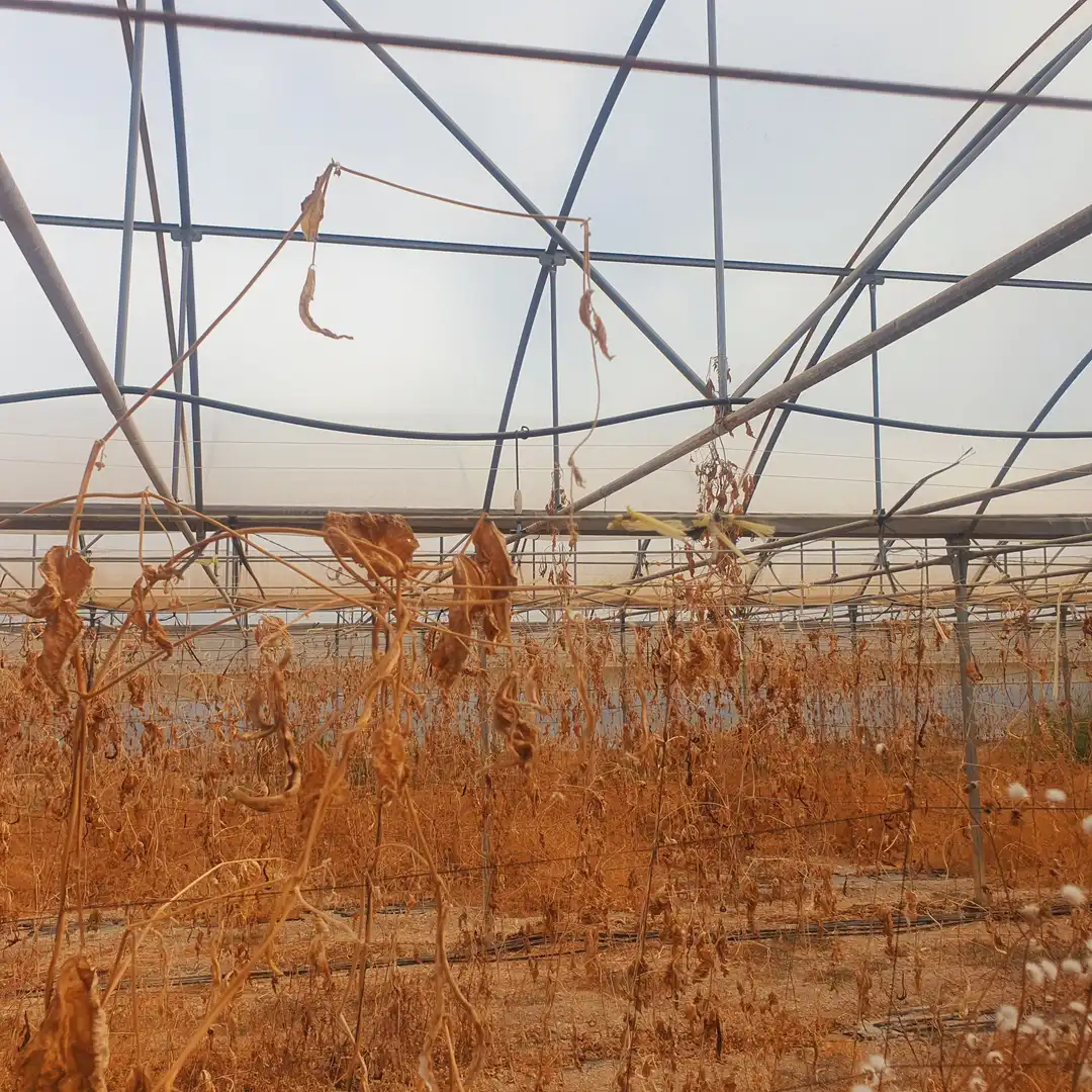 Rustikales Grundstück zum Verkauf in El Pinell de Brai, imagen 18