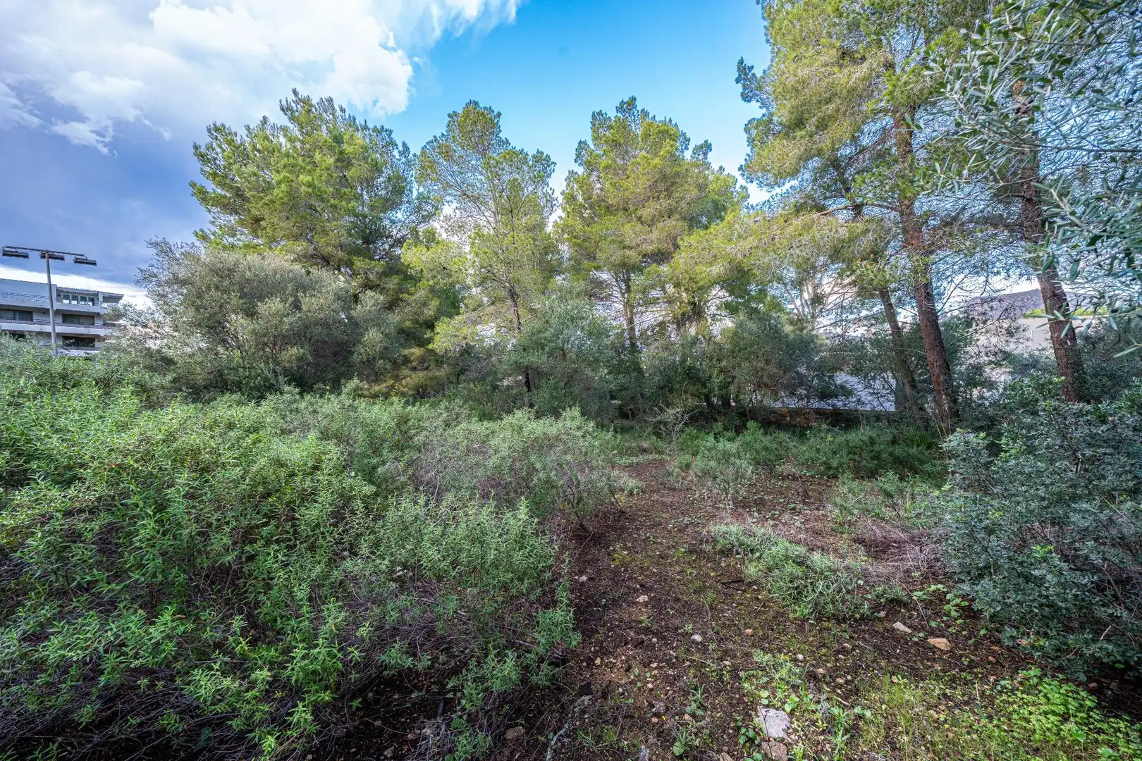Terreny rústic en venda a Colònia de Sant Pere, imagen 15