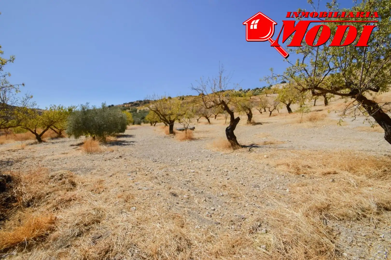 Finca rústica en venda en Cacín amb Jardí privat