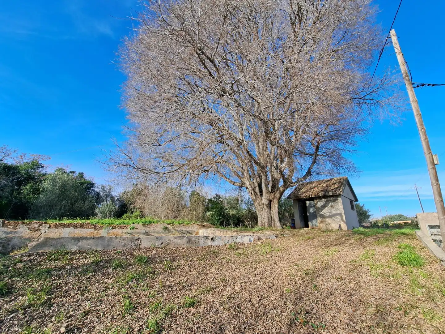 Terreno rústico en venta en Polígono LA COMA (CAMI ELS TOLLS), imagen 6