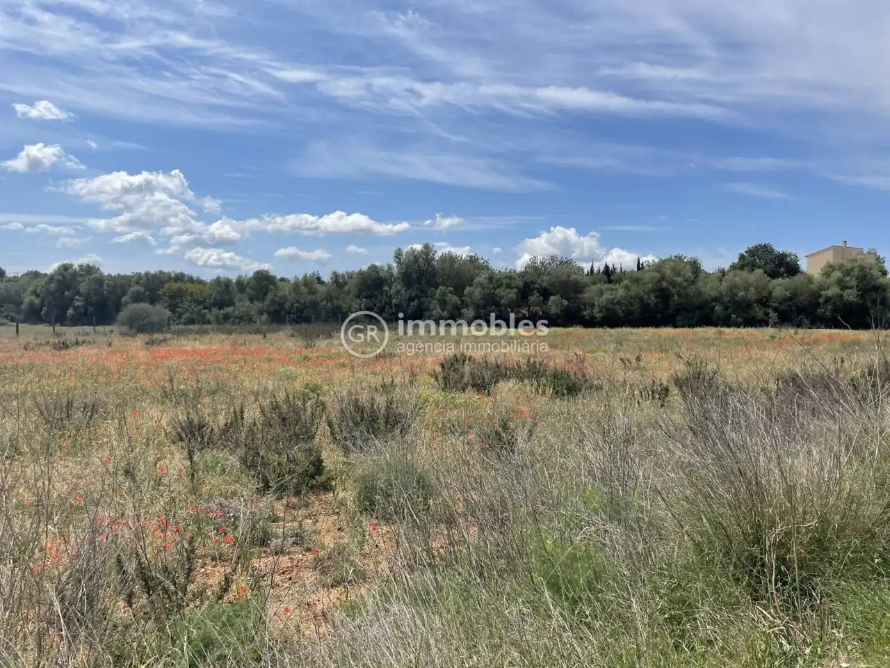 Rustikales Grundstück zum Verkauf in Sencelles, imagen 13