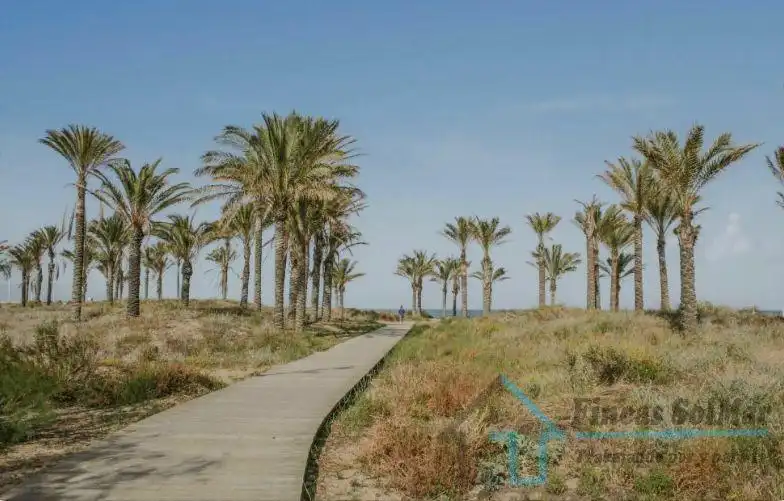 Vista exterior de Casa o xalet en venda en Castellón de la Plana / Castelló de la Plana amb Terrassa