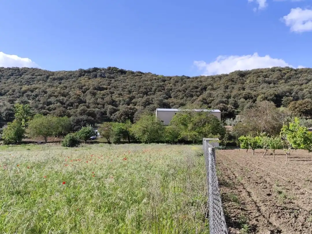 Terrenys i solars en venda a Travesía Tercia 76, imagen 6