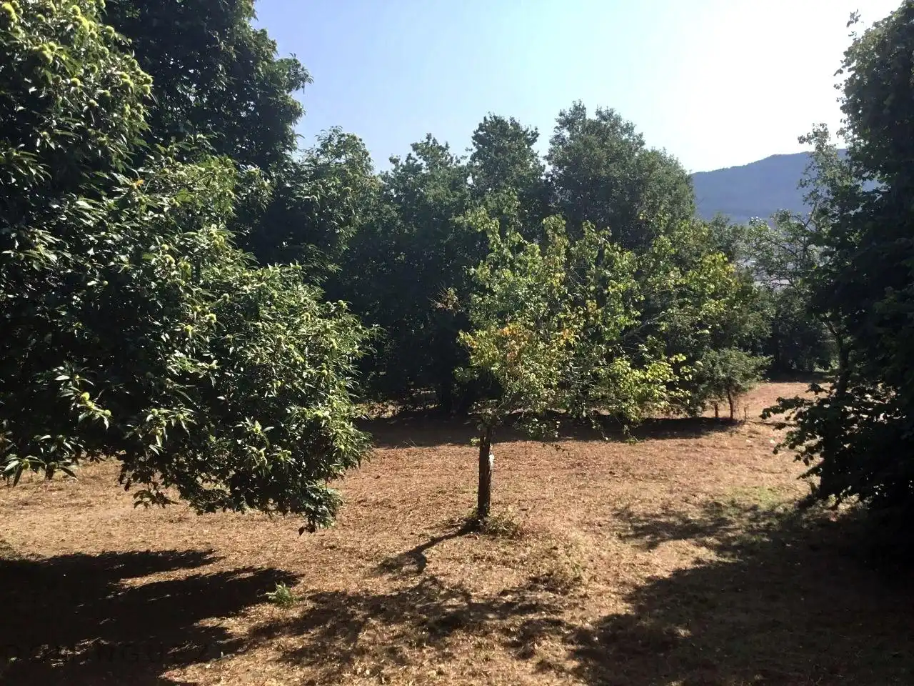 Terreno residenziale in vendita a Marín