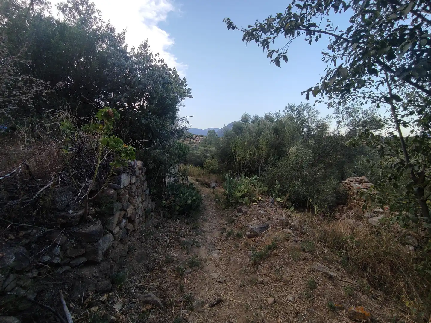 Casa o xalet en venda en Sant Climent Sescebes