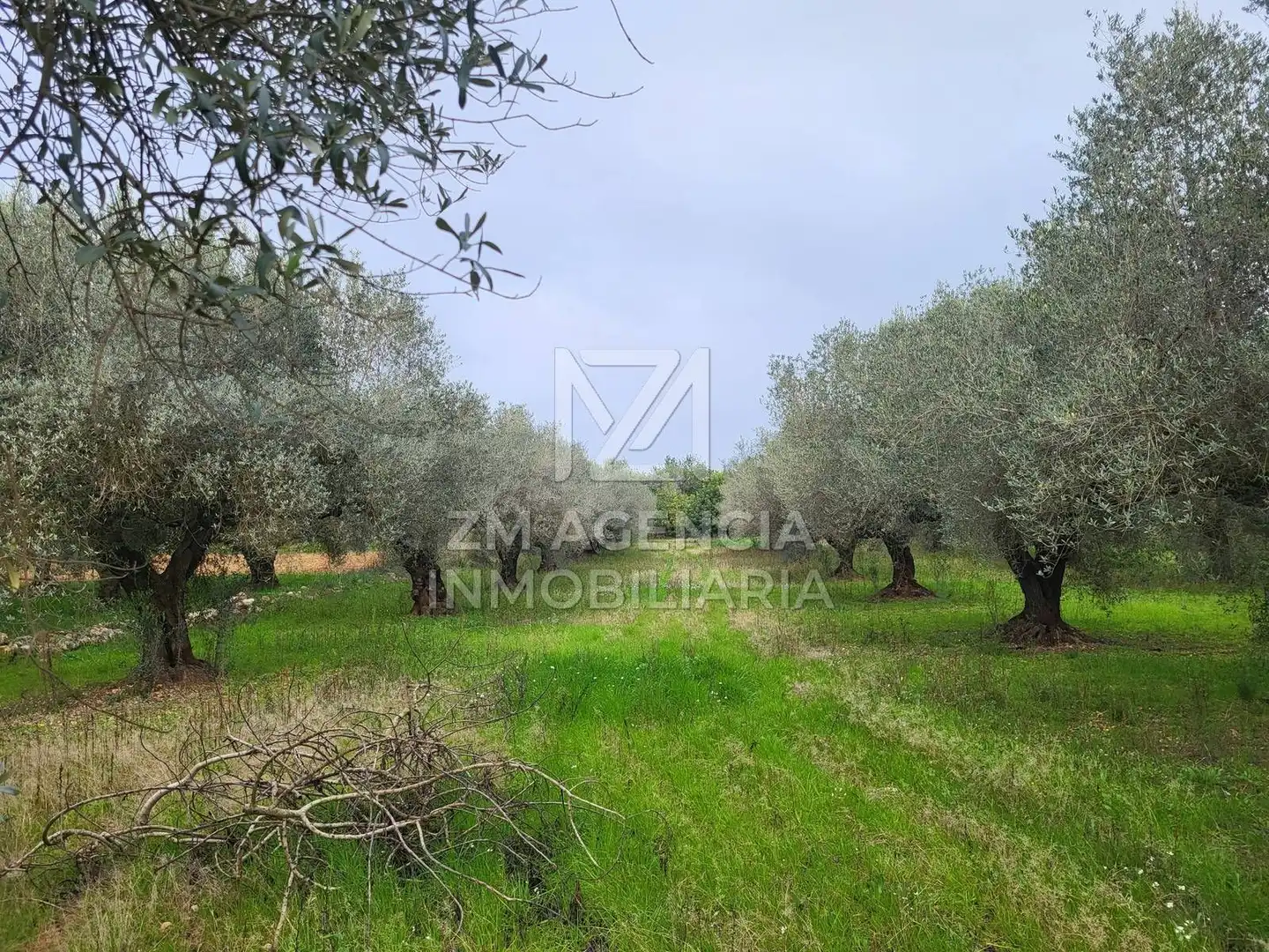 Terreno rustico in vendita a Cabanes, imagen 20