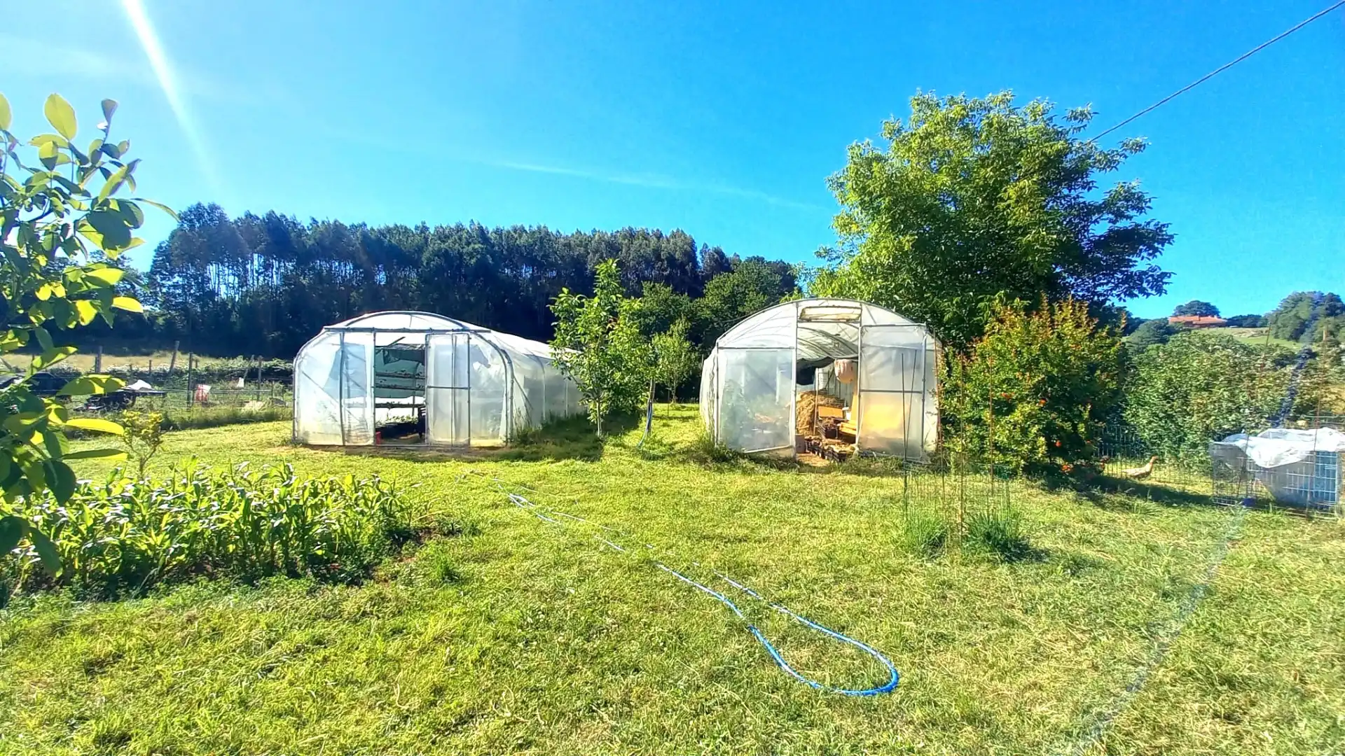 Maison avec jardin à vendre à Caserio Lavandera, imagen 32