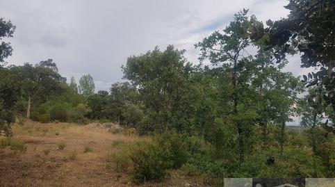 Photo 3 of Country house for sale in La Cabrera, Madrid