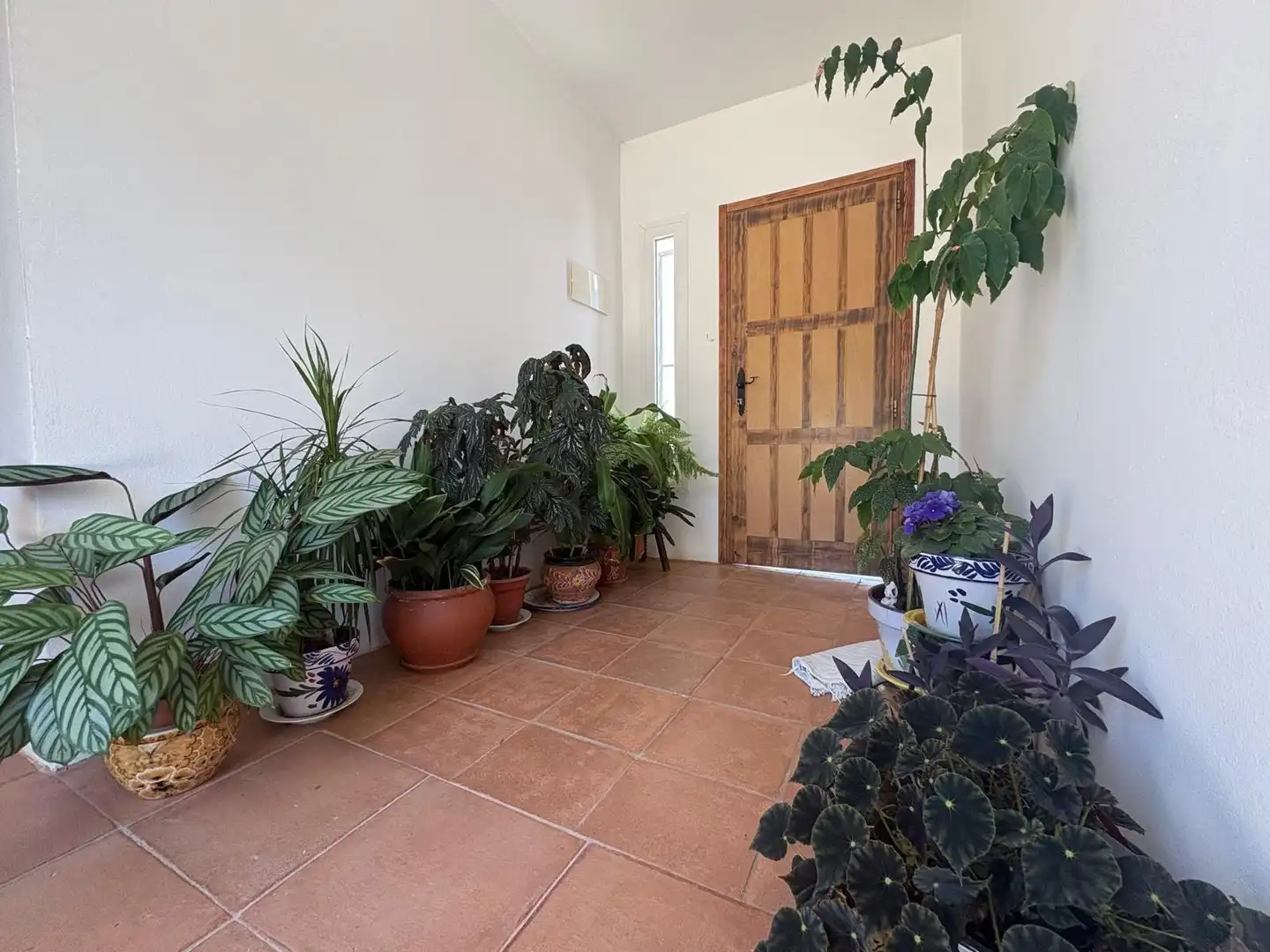 Casa o xalet en venda en Tarifa amb Jardí privat i Terrassa