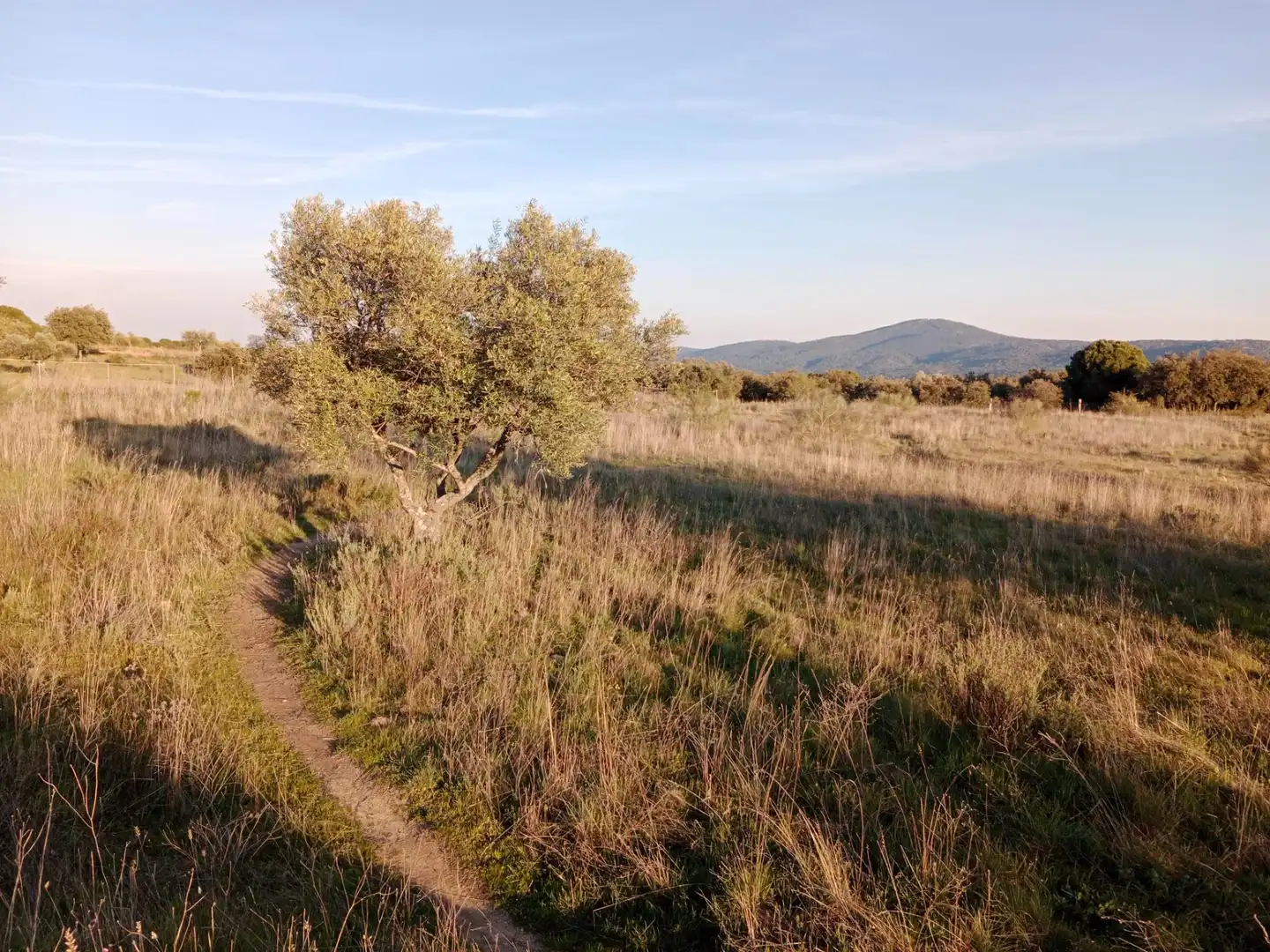 Terreno rustico in vendita a Camino Barzales, imagen 11