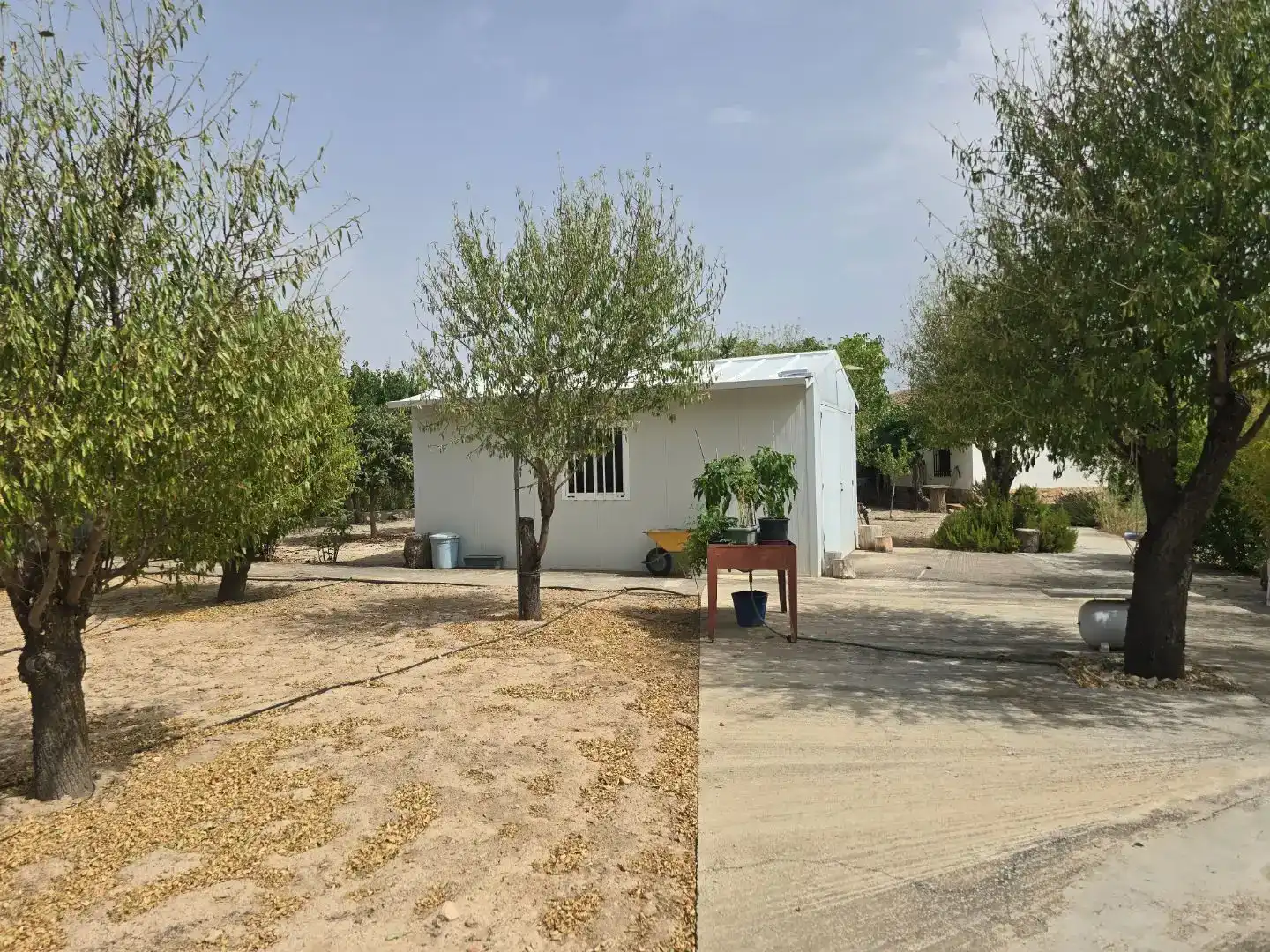 Vista exterior de Casa o chalet en venta en  Albacete Capital con Aire acondicionado y Piscina
