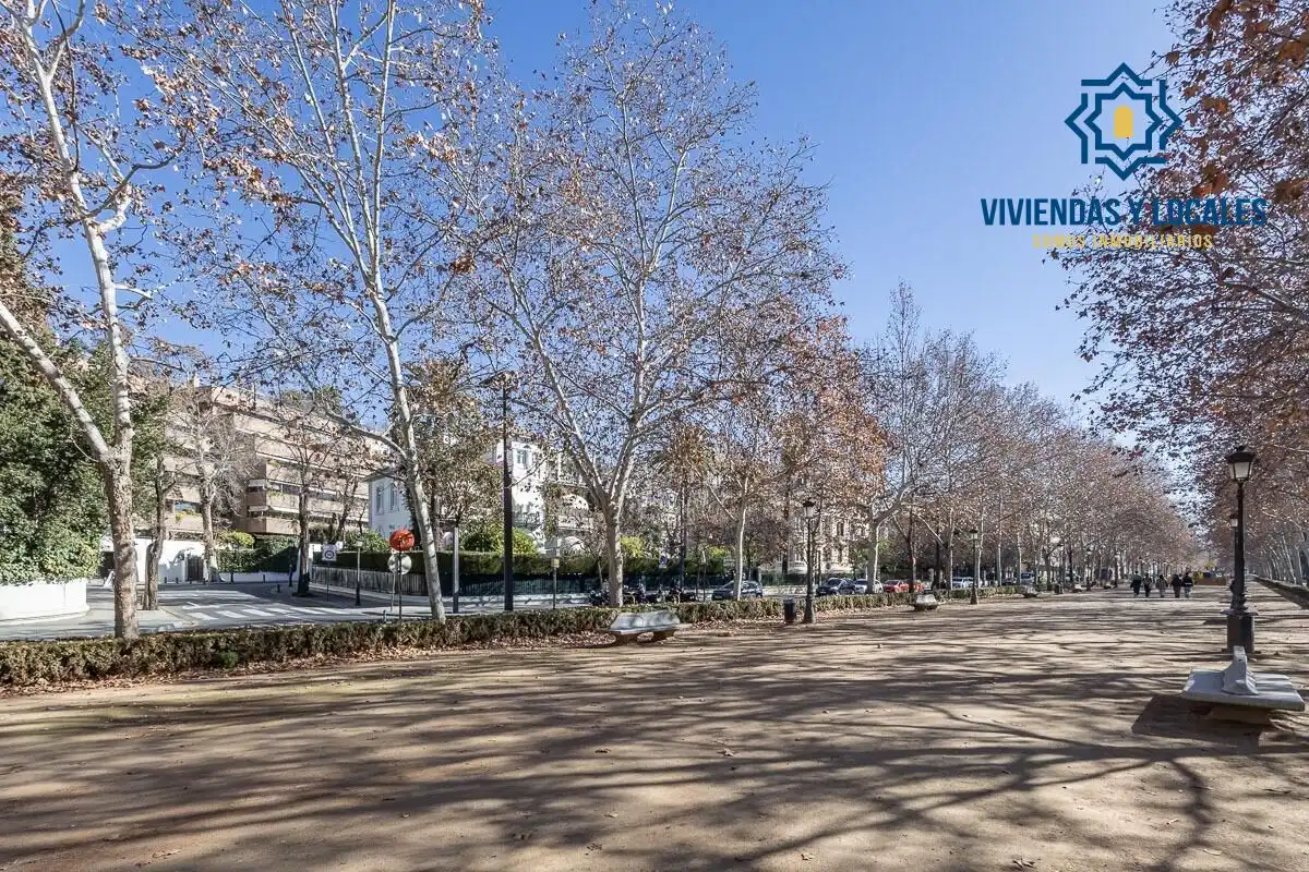 Piso con piscina en venta en Centro, imagen 50