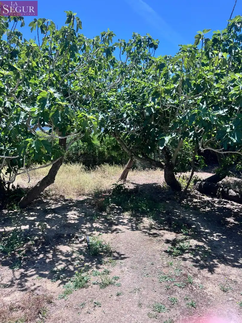 Casa o xalet en venda en Vejer de la Frontera amb Jardí privat