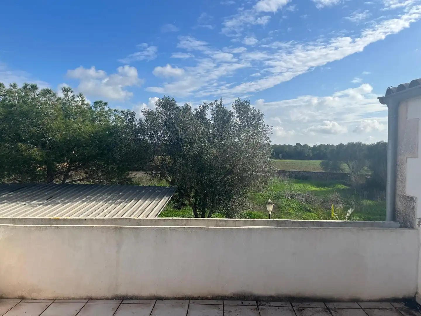 Finca rústica en venta en Llucmajor pueblo