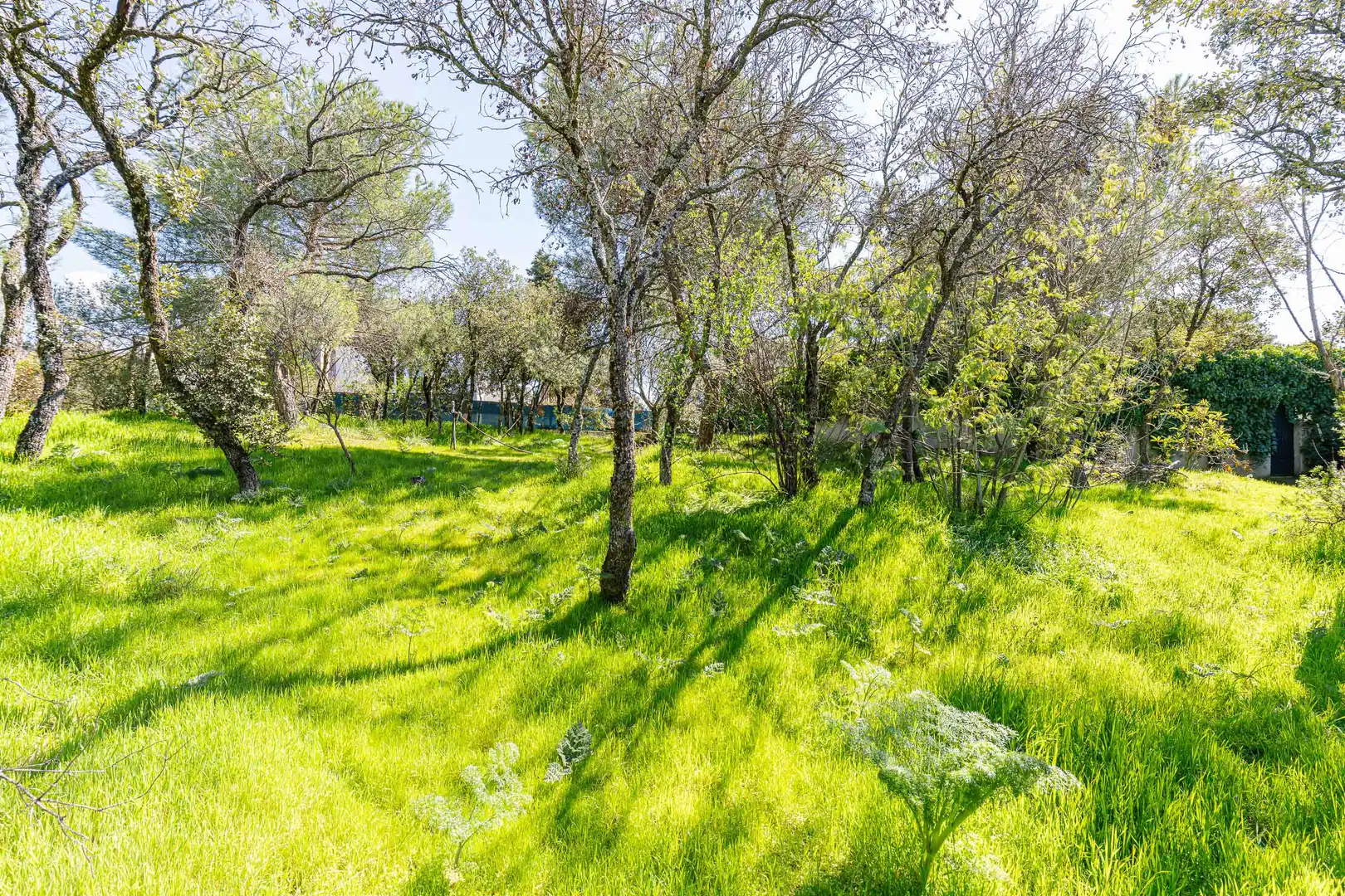 Residencial en venda en Torrelodones