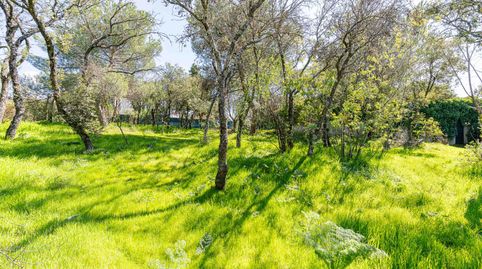 Foto 5 de Residencial en venda a Los Ángeles - Jarandilla, Torrelodones