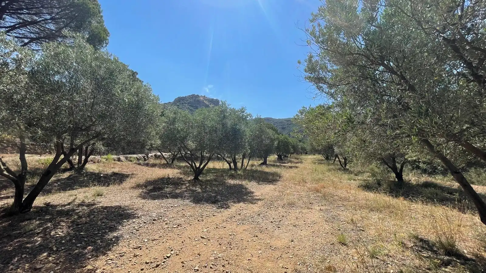 Finca rústica en venta en Vilajuïga con Terraza, Trastero y Balcón