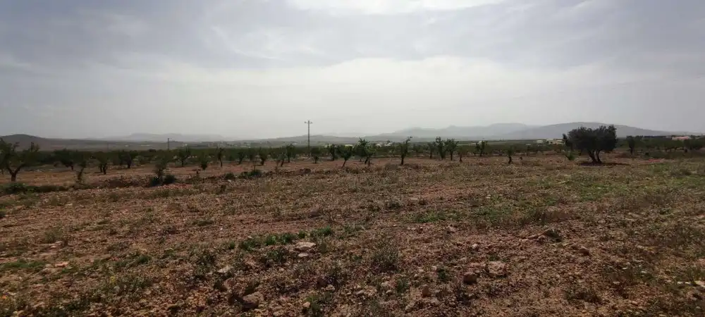 Casa en venda a El Pinós / Pinoso, imagen 16
