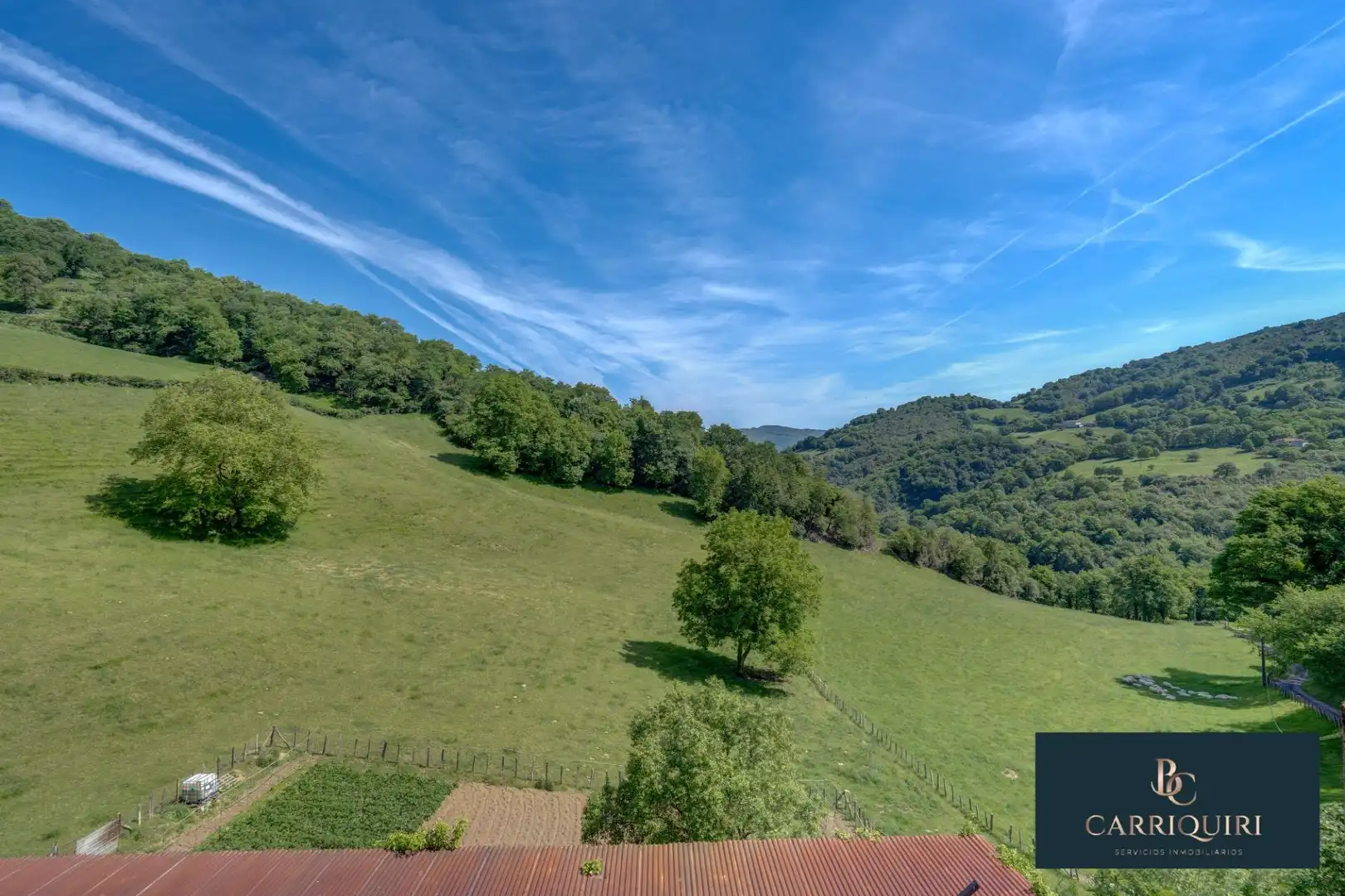 Houses for sale in Oiz