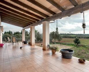 Terrace of House or chalet for sale in  Palma de Mallorca  with Private garden, Terrace and Storage room