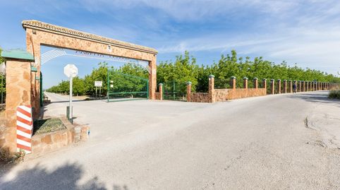 Finca Rústica en Venta  Vega Norte de Granada, imatge 2