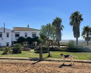 Vista exterior de Finca rústica en venda en Paterna del Campo amb Aire condicionat i Terrassa