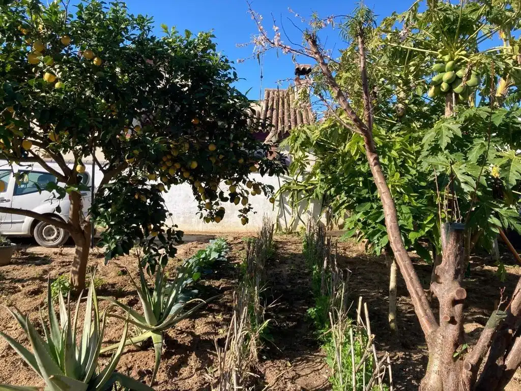 Chalet con jardín en venta en Medina Sidonia, imagen 46