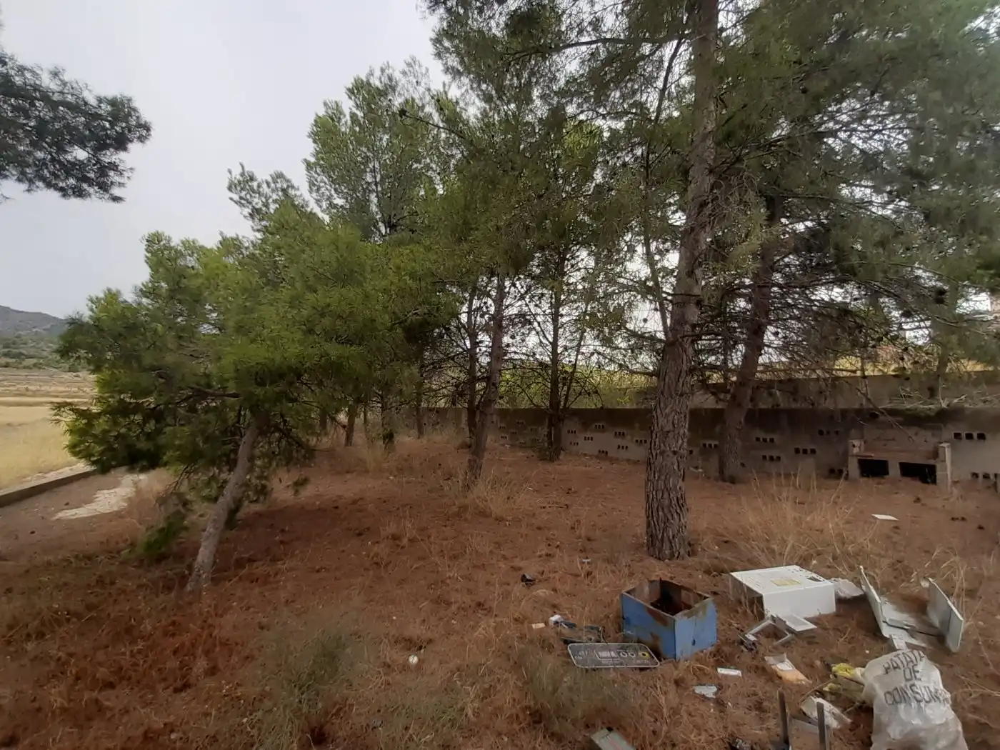 Maison rustique avec piscine à vendre à Monóvar  / Monòver, imagen 12