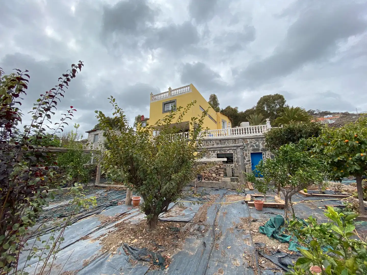 Jardín de Casa o chalet en venta en Santa María de Guía de Gran Canaria con Jardín privado, Terraza y Trastero