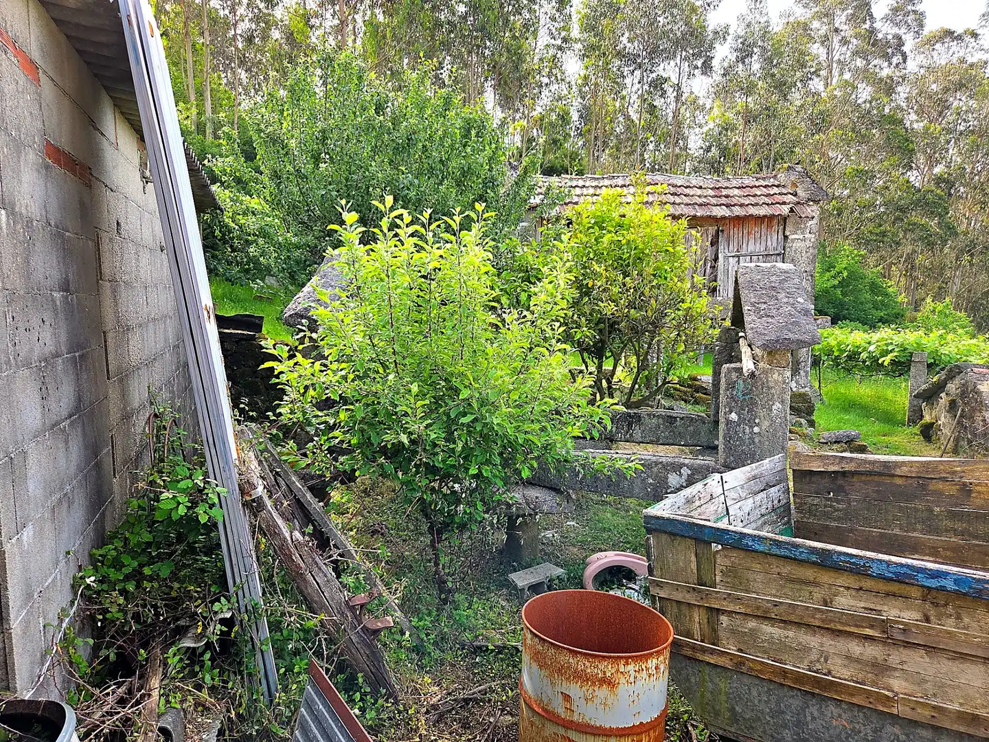 Jardín de Finca rústica en venta en Meis con Jardín privado y Terraza