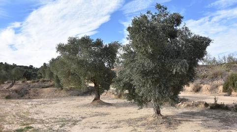 Photo 3 of Land for sale in Calle Mayor, 14, Calaceite, Teruel