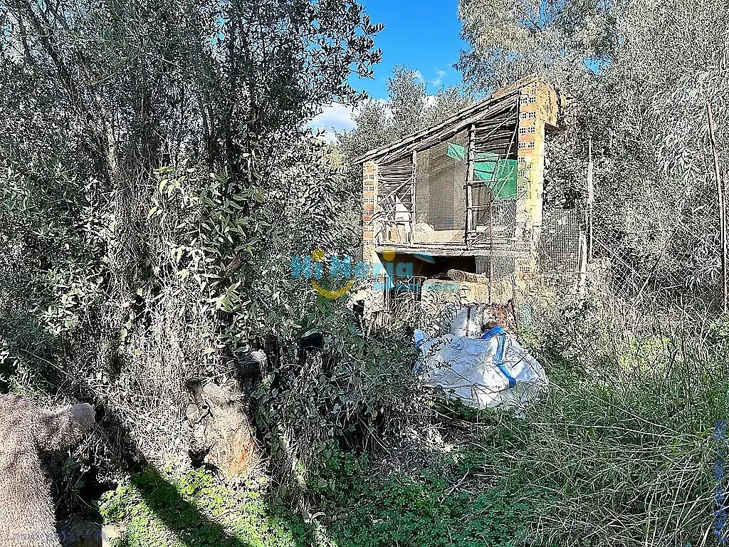 Maison à vendre à Comares, imagen 16