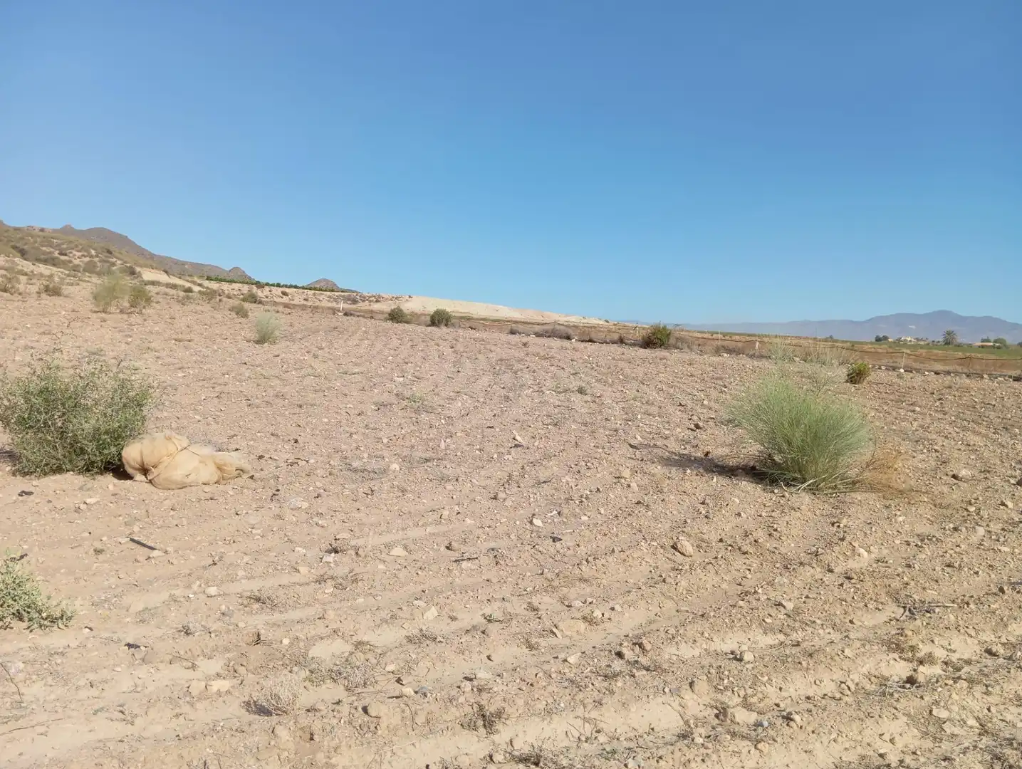 Casa rústica en venda a Cuevas del Almanzora pueblo, imagen 27