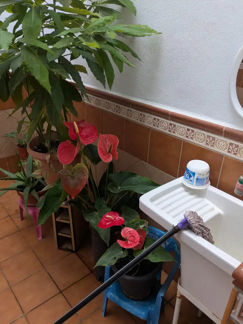Baño de Casa o chalet en venta en Motril con Amueblado